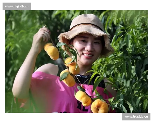 探索龙果的神奇世界从热带果园到餐桌上的健康新宠